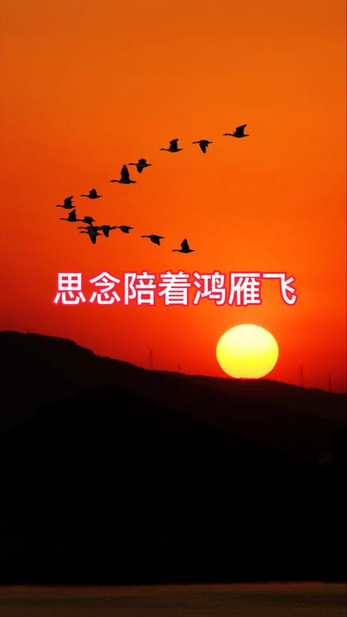 如燕盘旋而来的思念  第1张