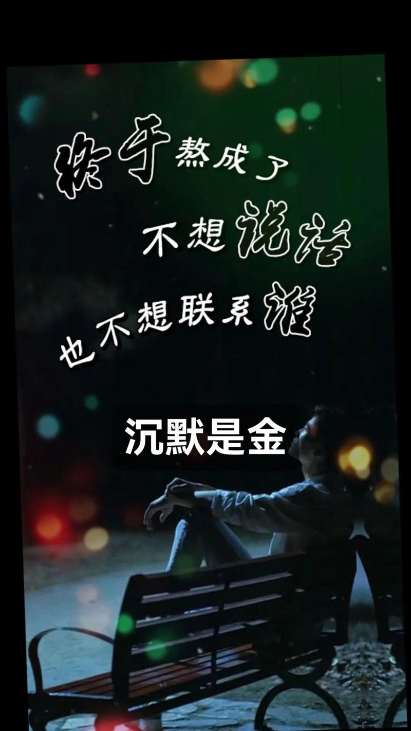 从此你叫沉默  第1张