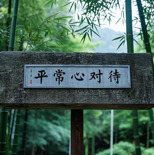 平常日子平常心 第1张 平常日子平常心 第1张