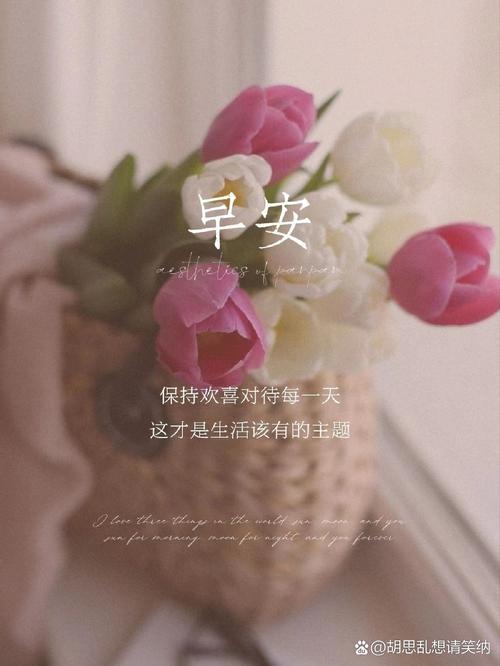 终有一天要安然生活 第1张 终有一天要安然生活 第1张
