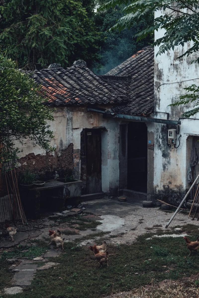 旧时光  第1张