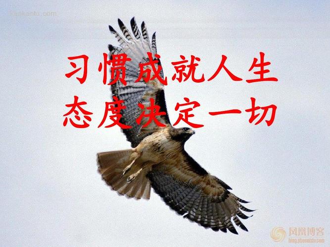 大气是一种人生态度 第1张 大气是一种人生态度 第1张