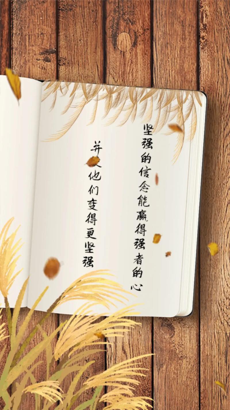 平淡才好 第1张 平淡才好 第1张