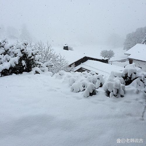 一炉雪  第1张