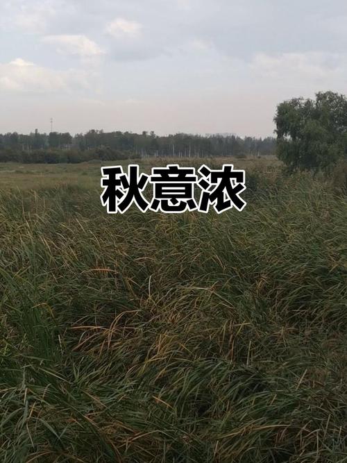 那年,秋风萧瑟 第1张 那年,秋风萧瑟 第1张