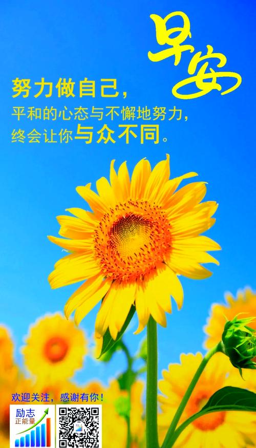 阳光心态正能量的句子,阳光心态,传递正能量句子。 第1张 阳光心态正能量的句子,阳光心态,传递正能量句子。 第1张