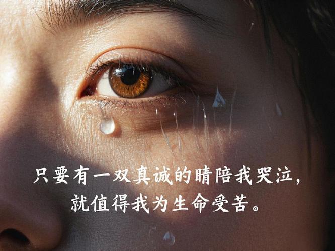 柔软而流泪的心 第1张 柔软而流泪的心 第1张