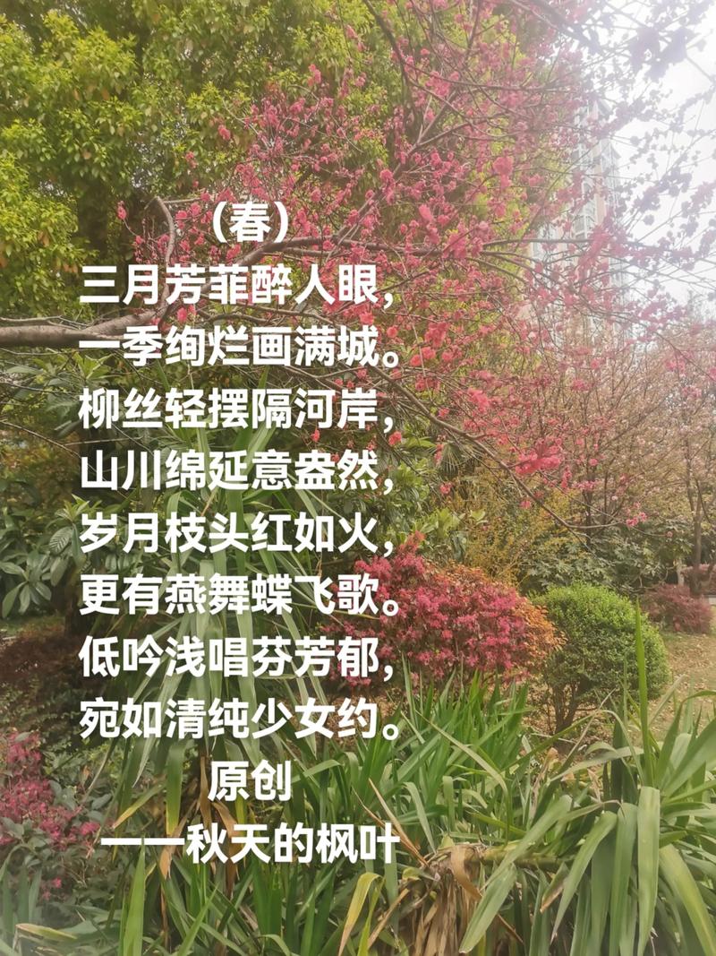 “春来依旧催人老” 第1张 “春来依旧催人老” 第1张