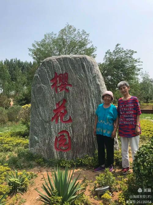 绚丽的真情  第1张