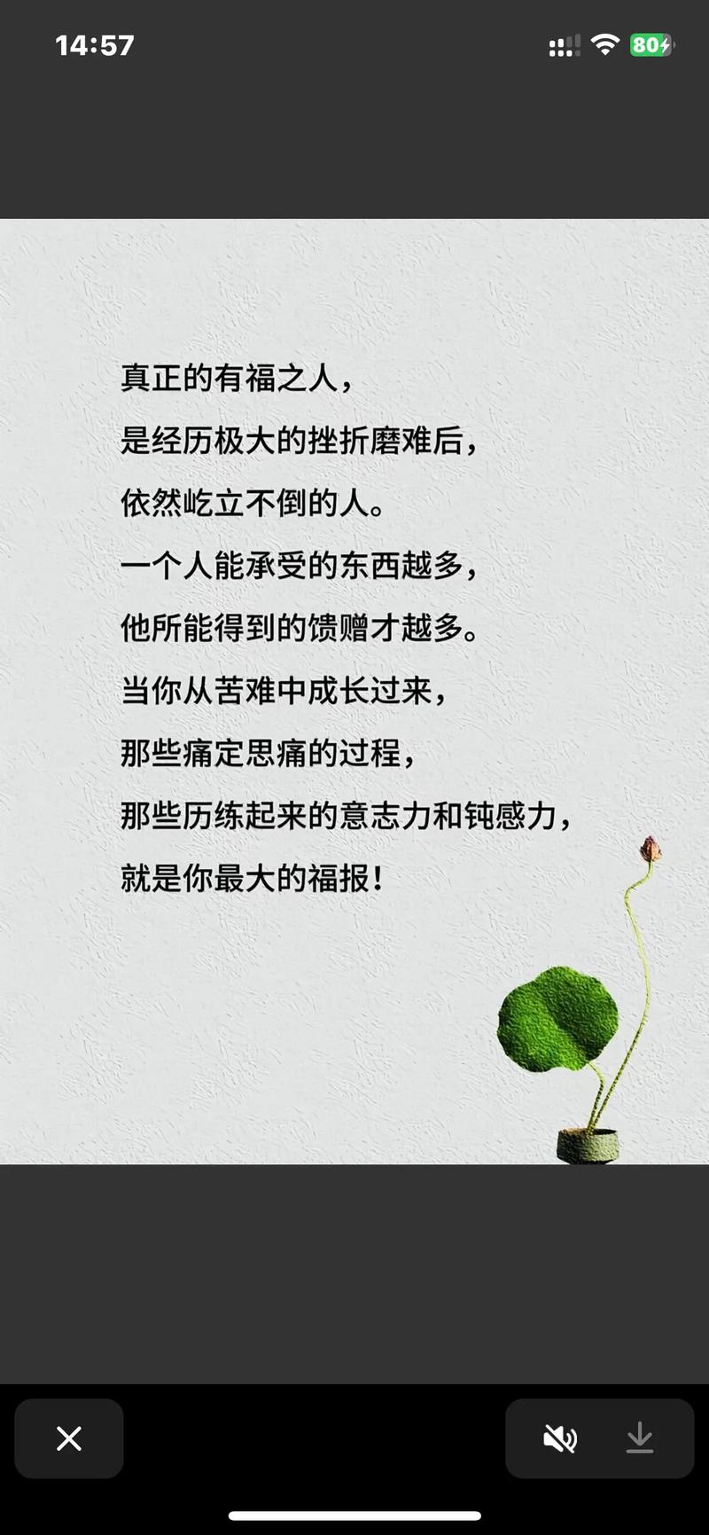 经典语录励志人生感悟短句，经典励志人生感悟短句，砥砺前行，感悟经典语录的力量  第1张