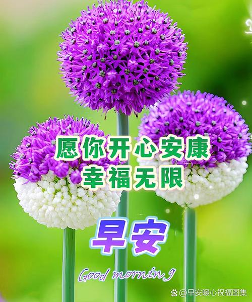 道一声珍重 第1张 道一声珍重 第1张