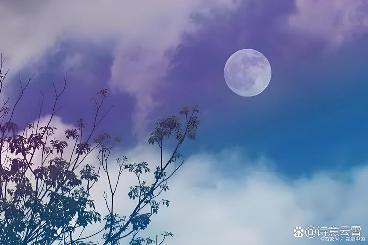 空中悬明月  第1张