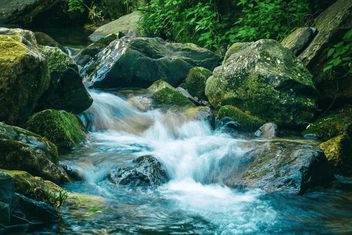 家乡的山泉水  第1张