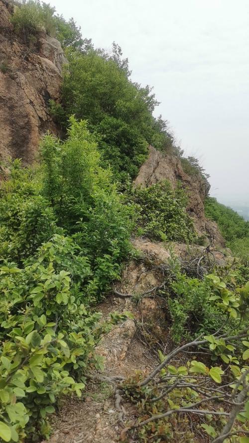 远去的阳山洼 第1张 远去的阳山洼 第1张