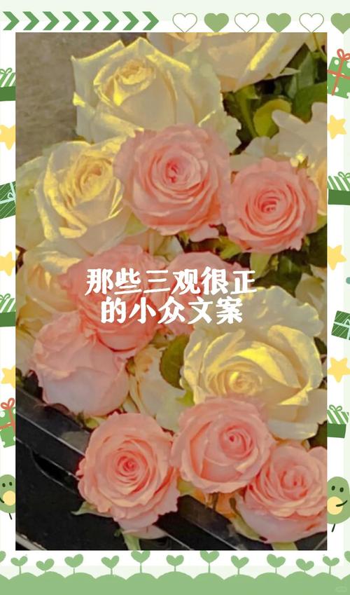 三观超正超干净的文案,三观纯净,心灵清澈的阳光文案 第1张 三观超正超干净的文案,三观纯净,心灵清澈的阳光文案 第1张