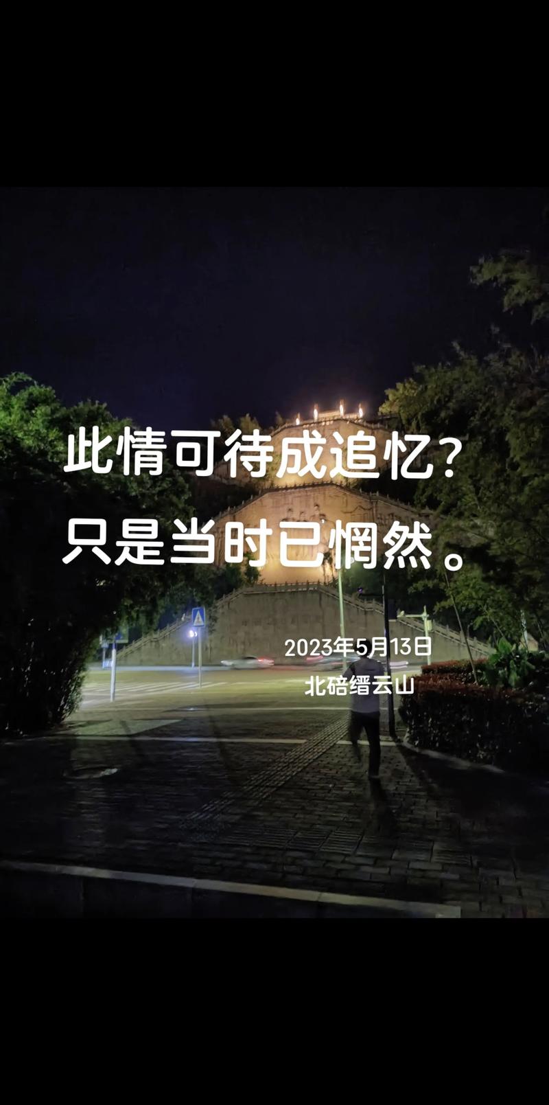 此情可待成追忆  第1张