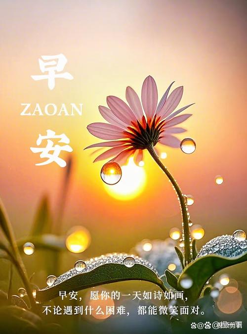 美好从晨开始 第1张 美好从晨开始 第1张