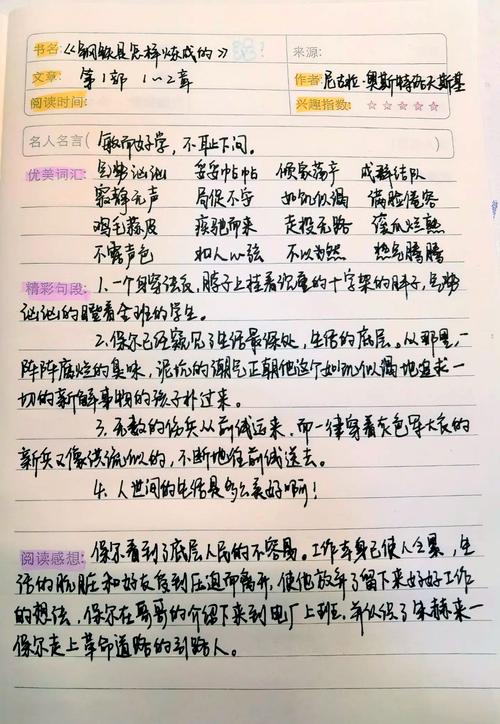 钢铁是怎样炼成的好词好句，钢铁是怎样炼成的好词好句精选标题，，炼钢之路，精选好词佳句  第1张