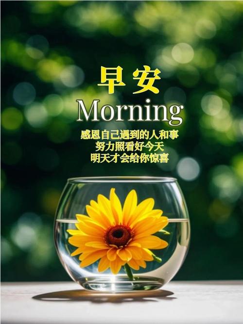 句句暖人心,暖心之语,句句触动心灵 第1张 句句暖人心,暖心之语,句句触动心灵 第1张