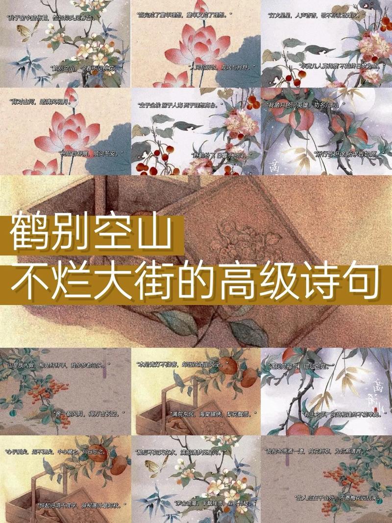 孤山梅鹤也有情 第1张 孤山梅鹤也有情 第1张