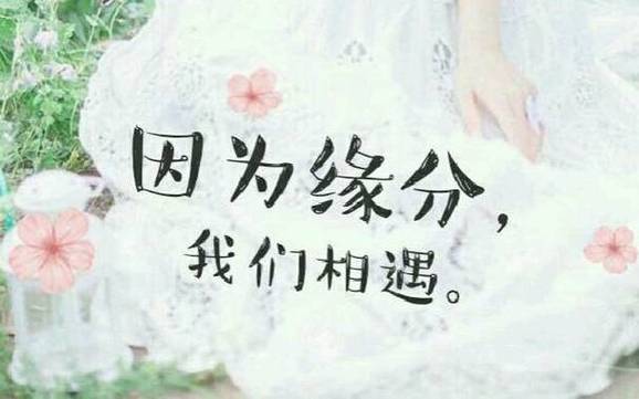 聚散是缘 第1张 聚散是缘 第1张