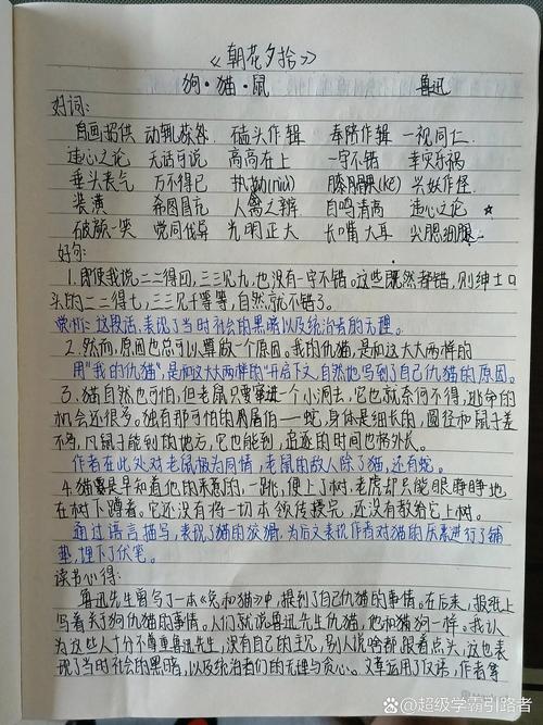 读书笔记摘抄大全20篇,读书笔记摘抄精选,二十篇读书感悟集锦 第1张 读书笔记摘抄大全20篇,读书笔记摘抄精选,二十篇读书感悟集锦 第1张