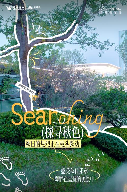 时光的邂逅 第1张 时光的邂逅 第1张
