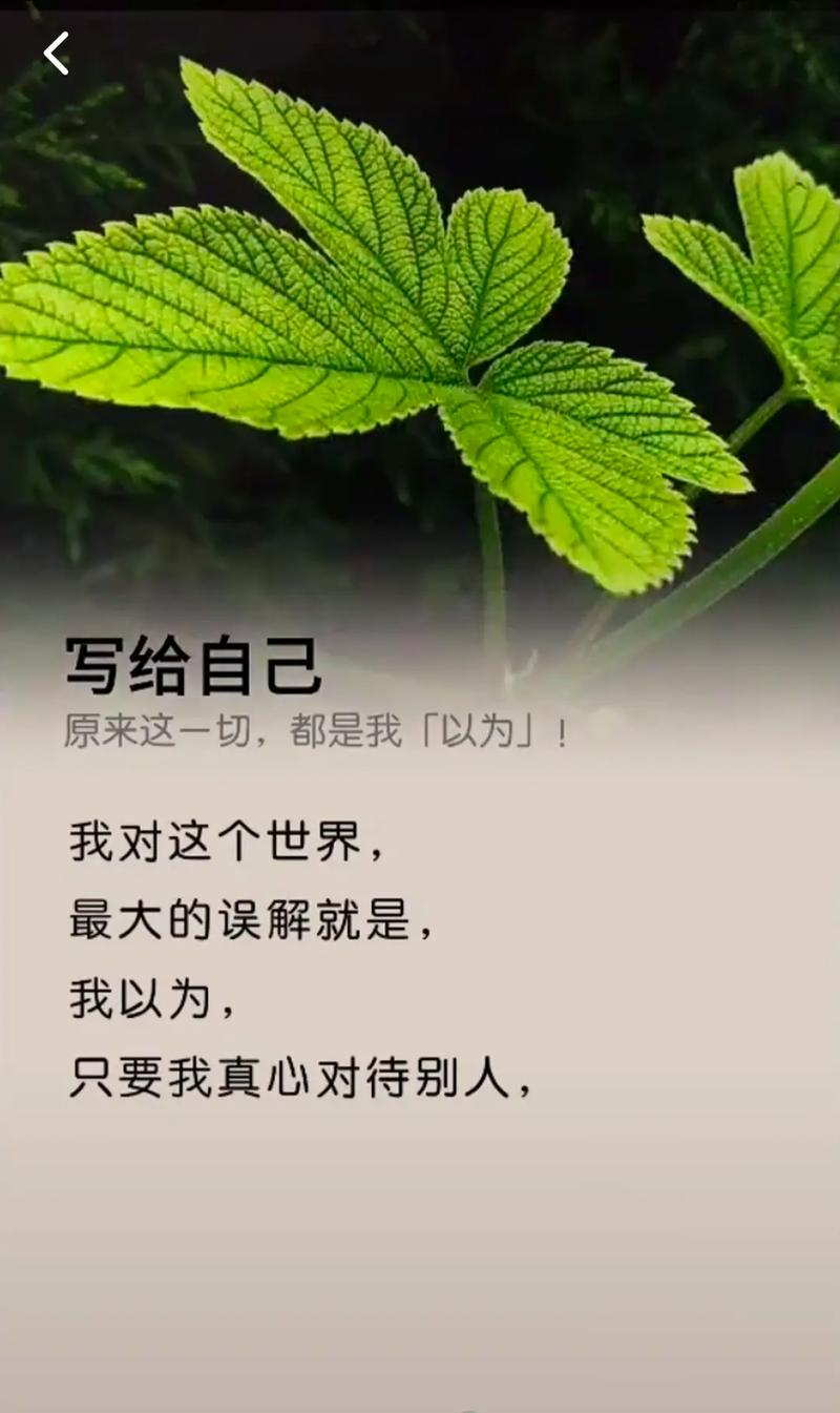 句句不提失望却句句失望,隐藏失望的句子,心有遗憾,言不由衷 第1张 句句不提失望却句句失望,隐藏失望的句子,心有遗憾,言不由衷 第1张