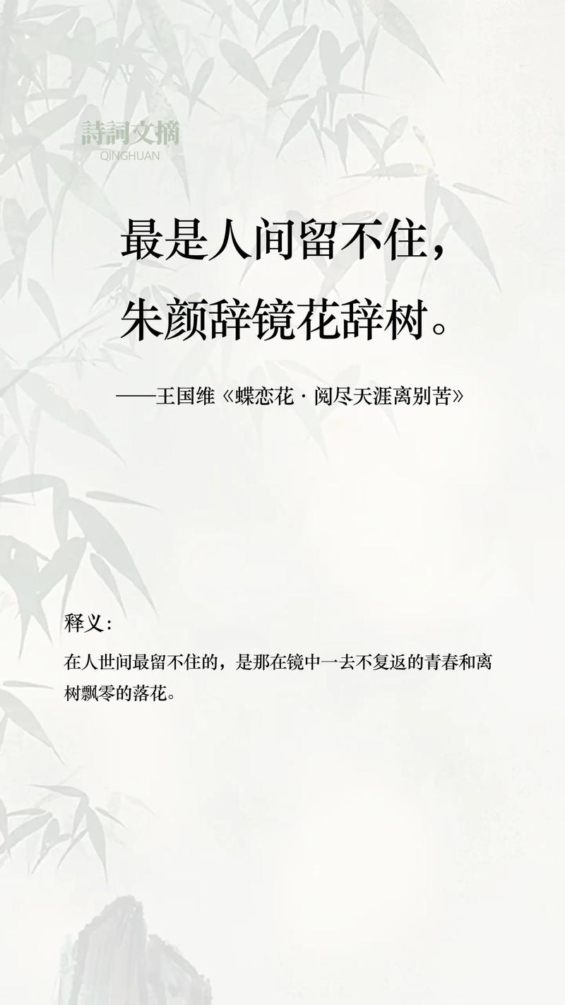 寂寞花也愁 第1张 寂寞花也愁 第1张