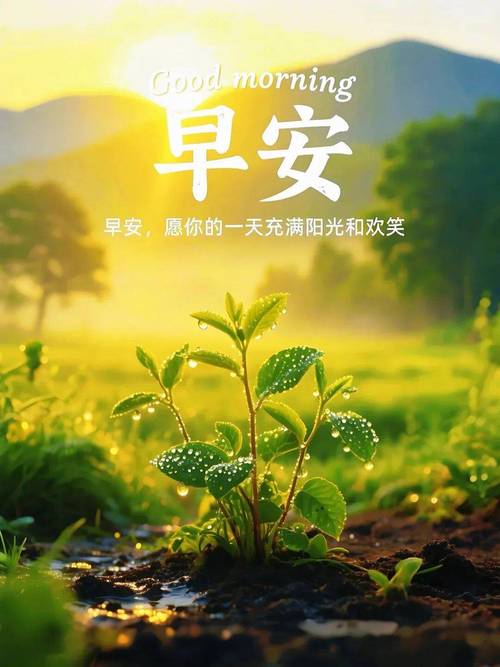 正能量励志的句子经典语句，正能量励志经典语句，激发内心动力，勇往直前！  第1张