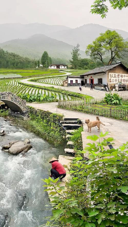 宁静的乡村夏日  第1张