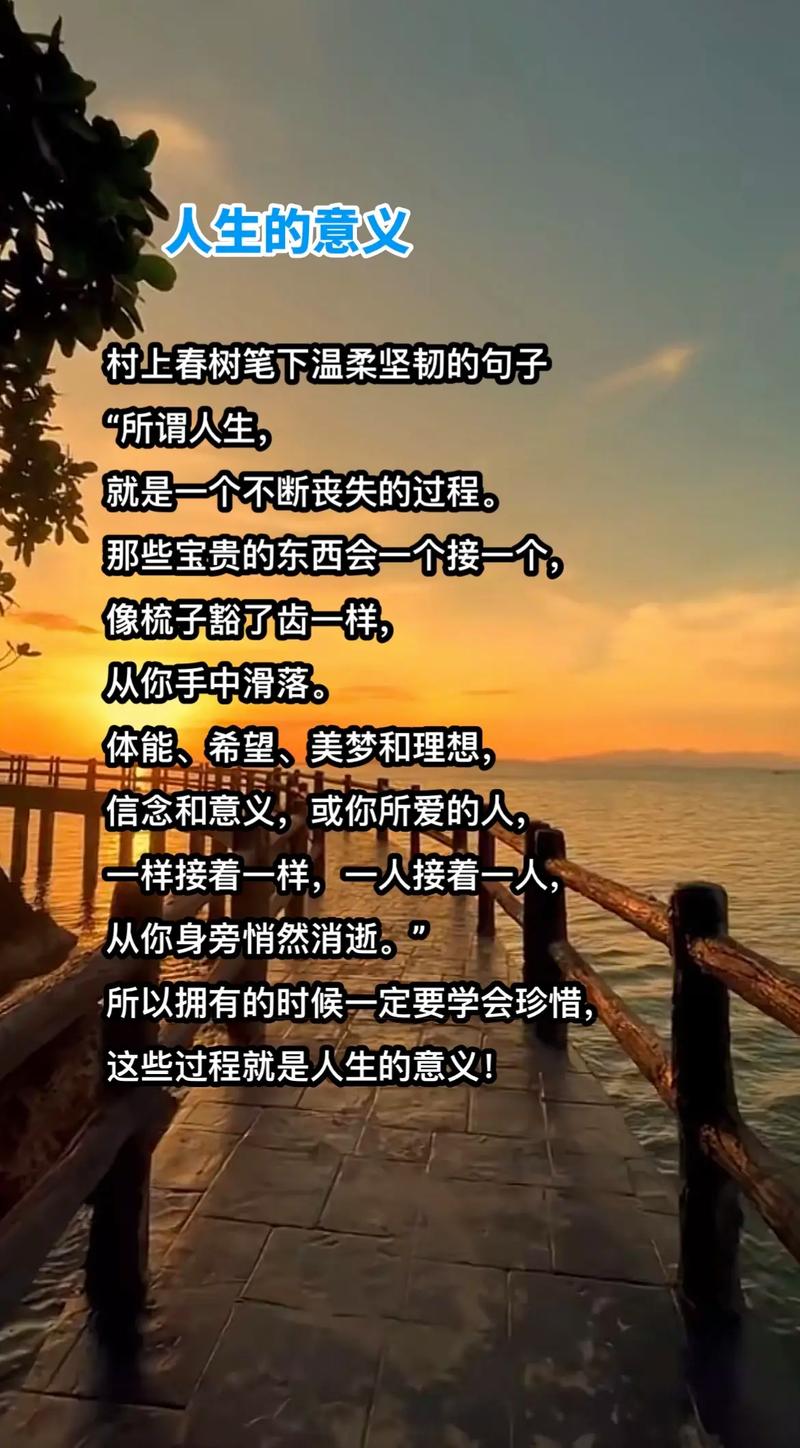 经典语录感悟人生，经典语录，感悟人生之旅  第1张