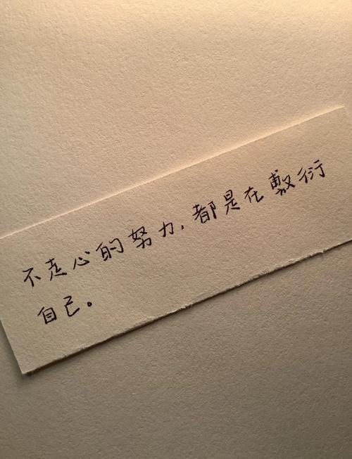 励志经典语录句子大全,励志经典语录句子精选集 第1张 励志经典语录句子大全,励志经典语录句子精选集 第1张