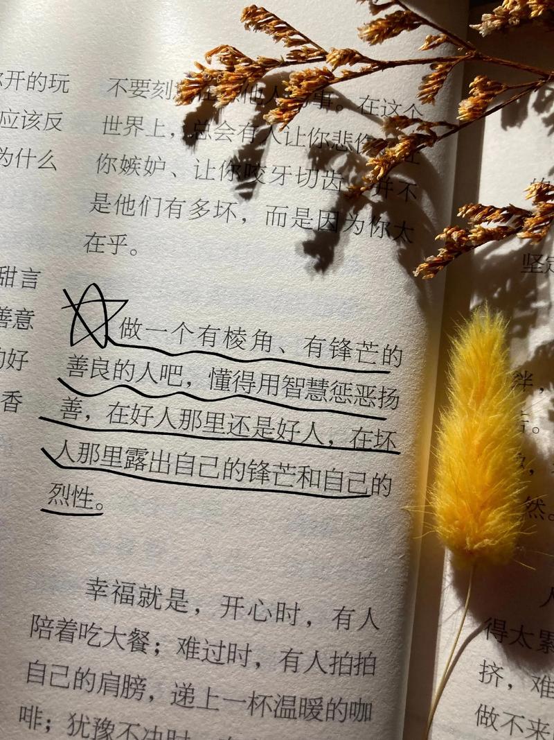 一句话点亮人生书籍,一句话点亮人生的智慧书 第1张 一句话点亮人生书籍,一句话点亮人生的智慧书 第1张