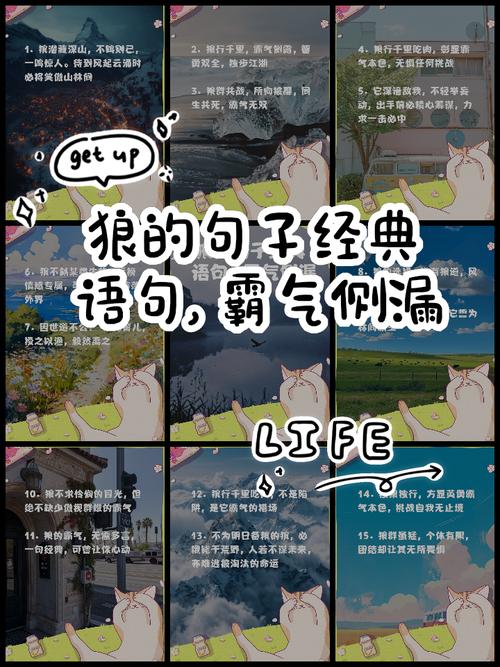狼的50格言 第1张 狼的50格言 第1张