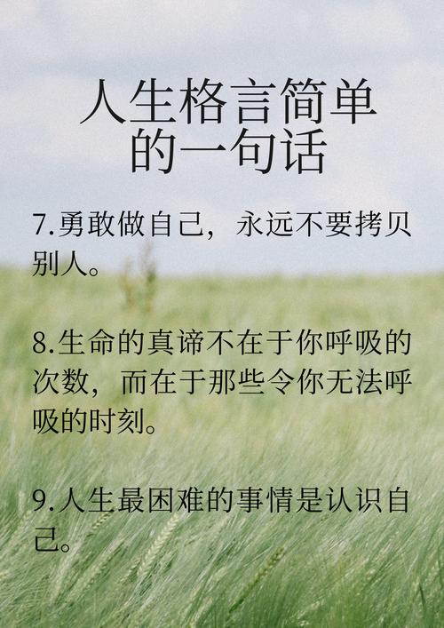 关于人生的名言,人生的智慧箴言 第1张 关于人生的名言,人生的智慧箴言 第1张