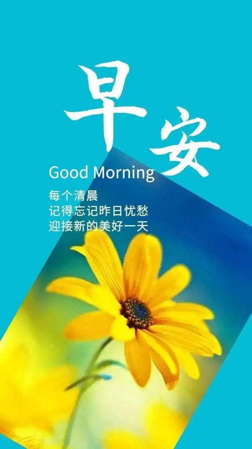 简单干净的早安心情说说，很经典很走心，让人忍不住分享  第1张