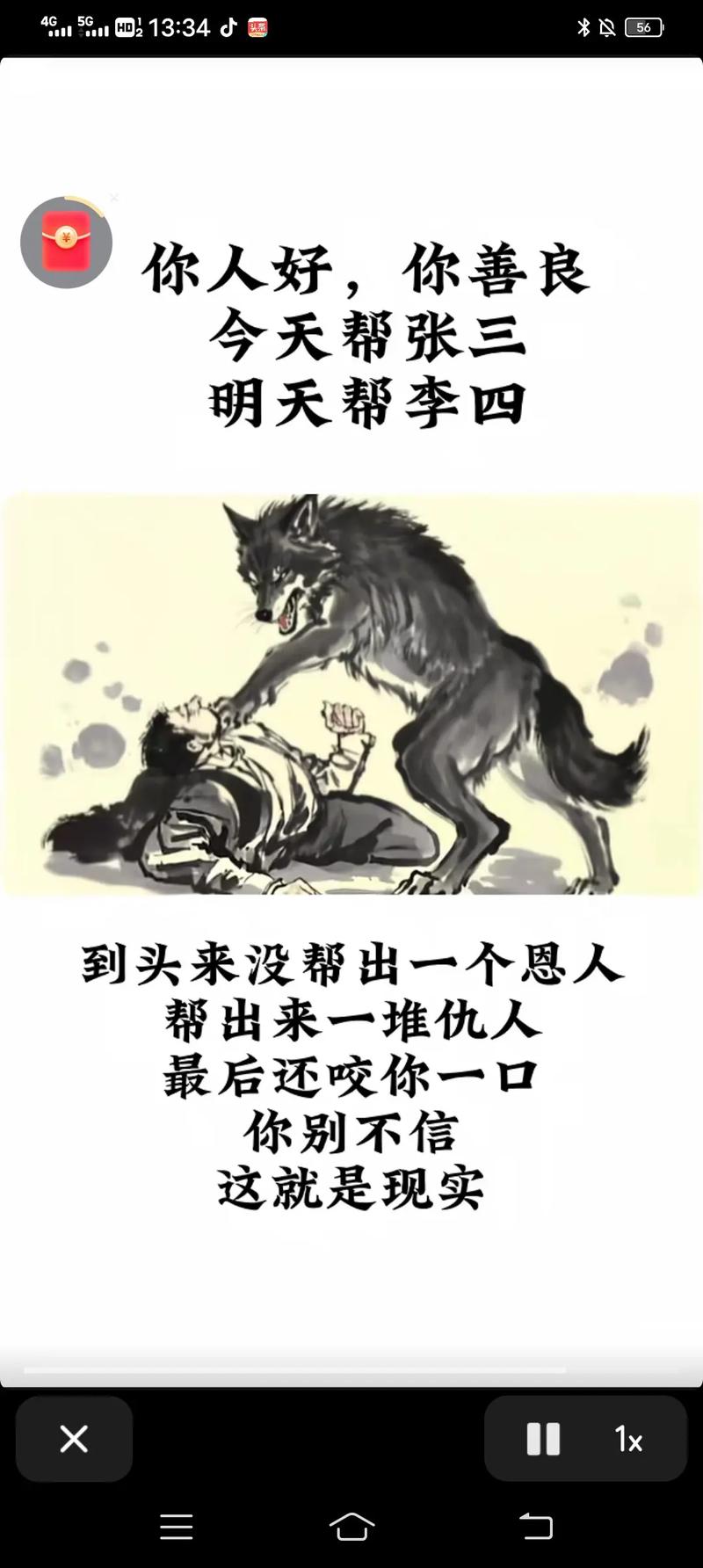 狼的50句格言，你会受用一生并影响你一辈子  第1张