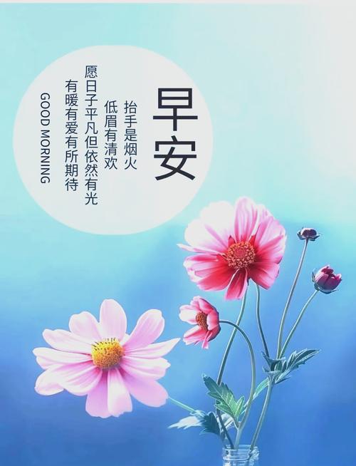 早安心语每日一语，早安心语，每日一语启程新的一天  第1张