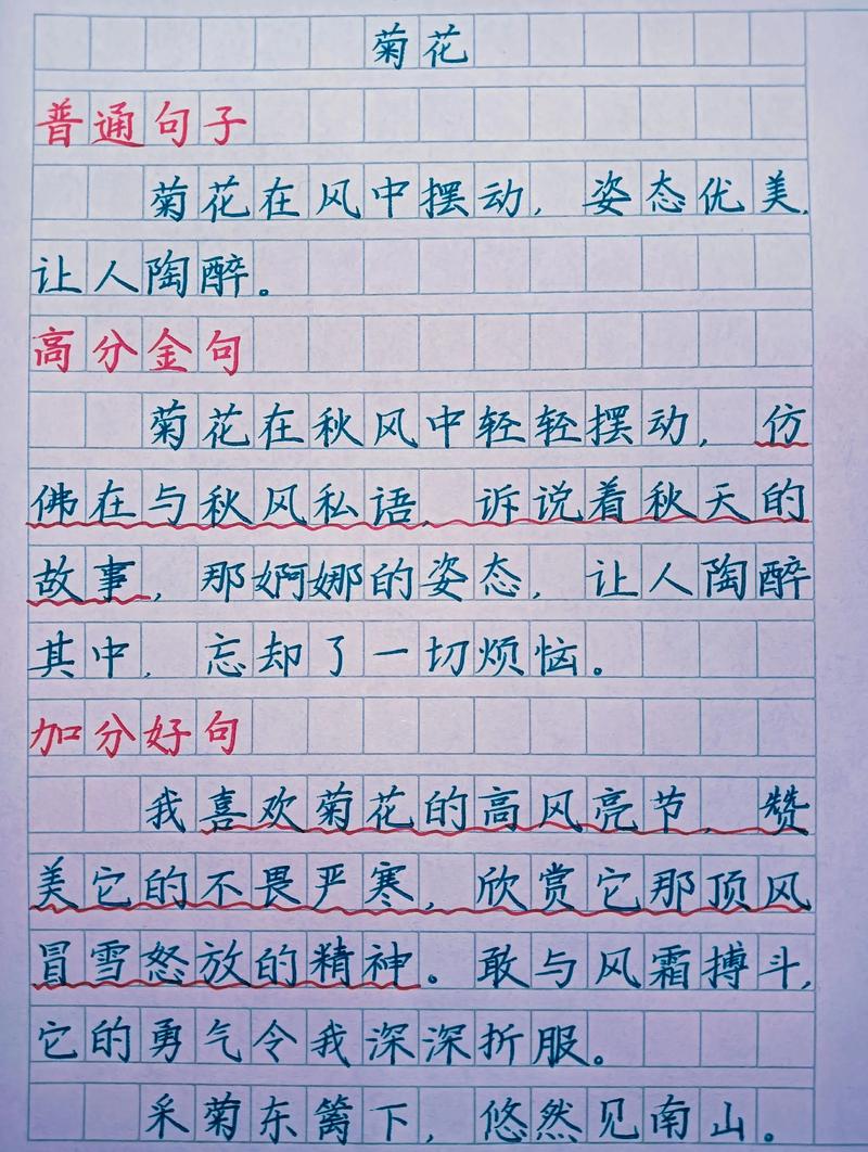 好句好段摘抄大全优美,优美好句好段摘抄大全 第1张 好句好段摘抄大全优美,优美好句好段摘抄大全 第1张