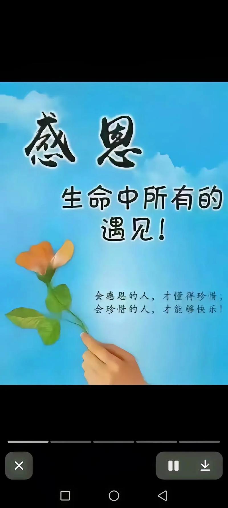 最打动人心的感恩句子,最触动心灵的感恩之语 第1张 最打动人心的感恩句子,最触动心灵的感恩之语 第1张