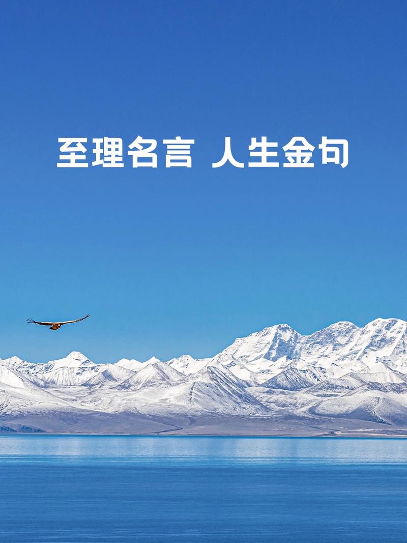 人生哲理金句,人生哲理金句,智慧与感悟的交汇点 第1张 人生哲理金句,人生哲理金句,智慧与感悟的交汇点 第1张