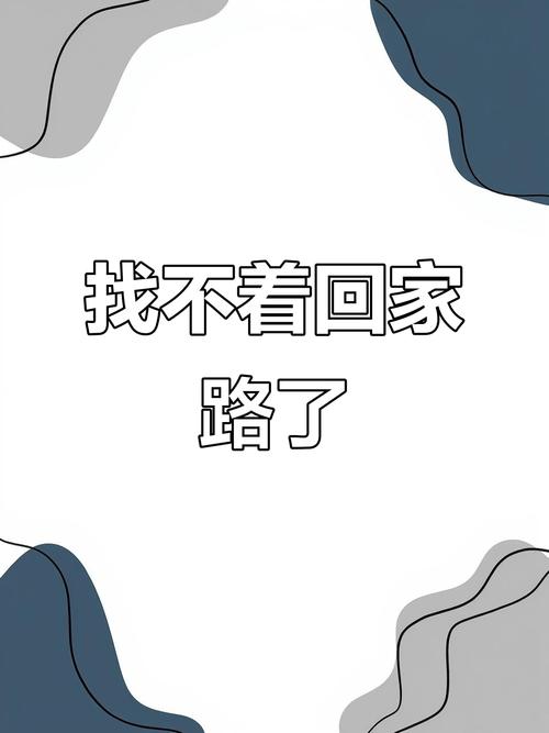 迷失的路  第1张