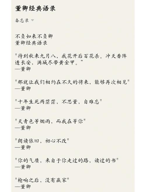 董卿励志经典语录 第1张 董卿励志经典语录 第1张