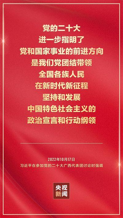 二十大金句积累 第1张 二十大金句积累 第1张