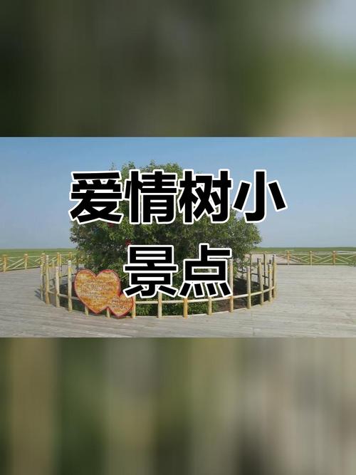 爱情是树  第1张