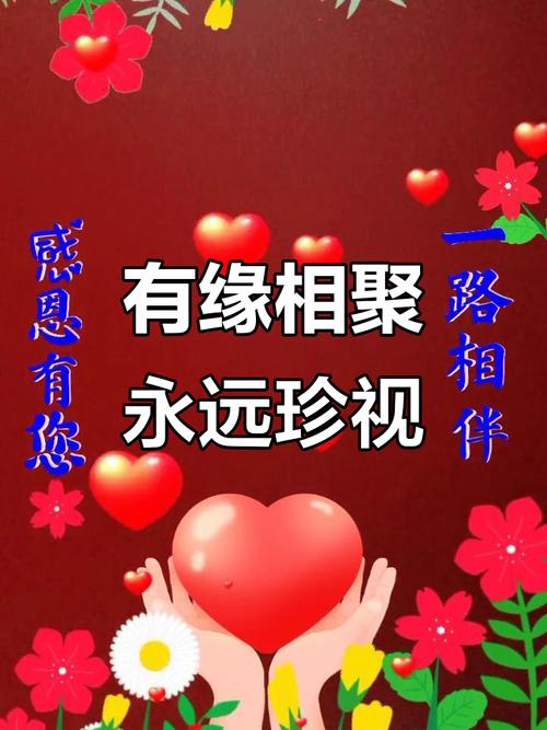 相遇是缘  第1张