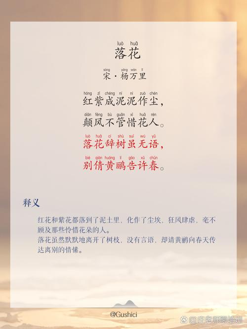 静待花开,细数花落 第1张 静待花开,细数花落 第1张