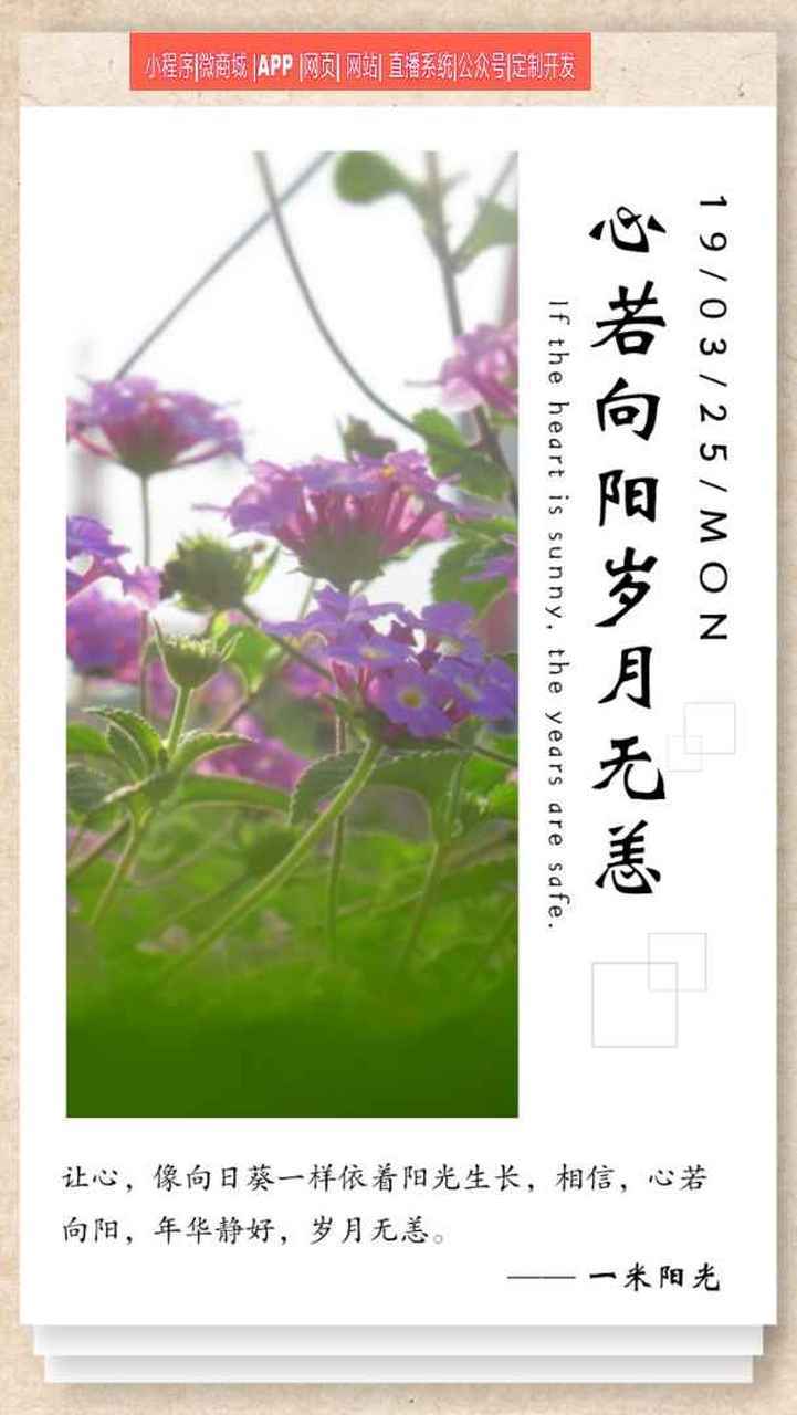 岁月无恙 第1张 岁月无恙 第1张