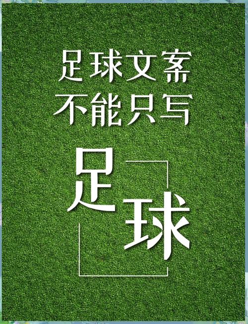 体育生的文案  第1张